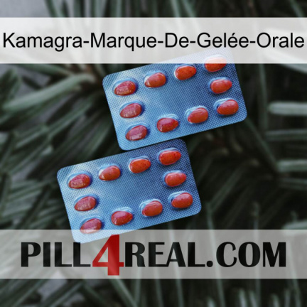 Kamagra-Marque-De-Gelée-Orale 05
